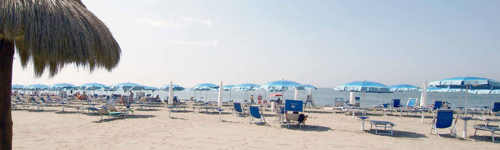Nuova Pineta e Pinetina - Lo Stabilimento
